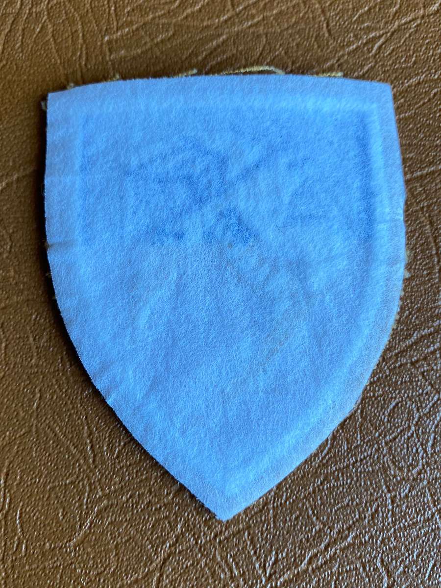 SWA 1ST SQUADRON AIR FORCE CLOTH PATCH-ORIGINAL