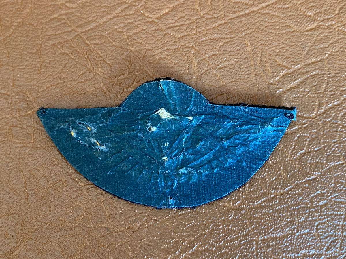 NEW ZEALAND SAS PARA WING- PRE 1990