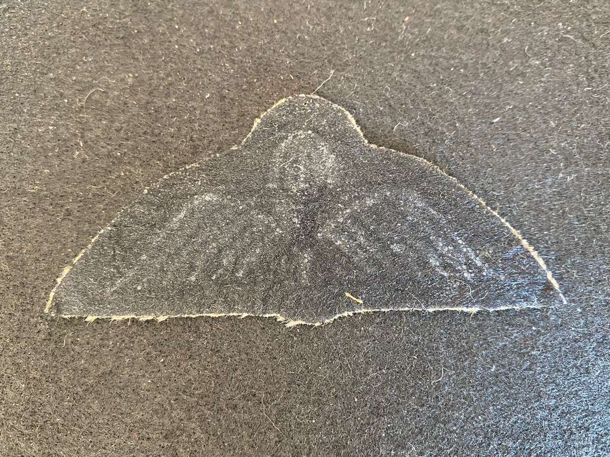 AUSTRALIAN AIRFORCE PARACHUTE WING-1980'S