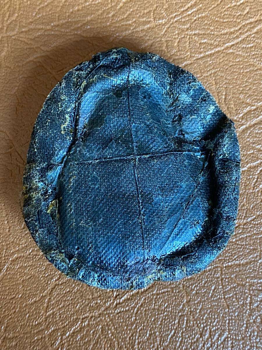 SOUTHERN RHODESIA AIR FORCE KINGS CROWN OFFICERS CAP BADGE-WORN WW2