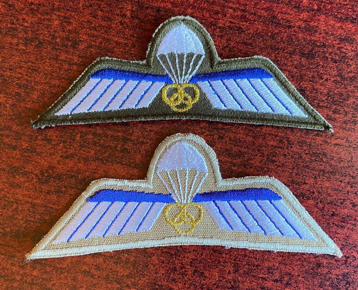 NETHERLANDS 2 CATEGORIES OF INSTRUCTORS PARA WINGS-SOLD TOGETHER