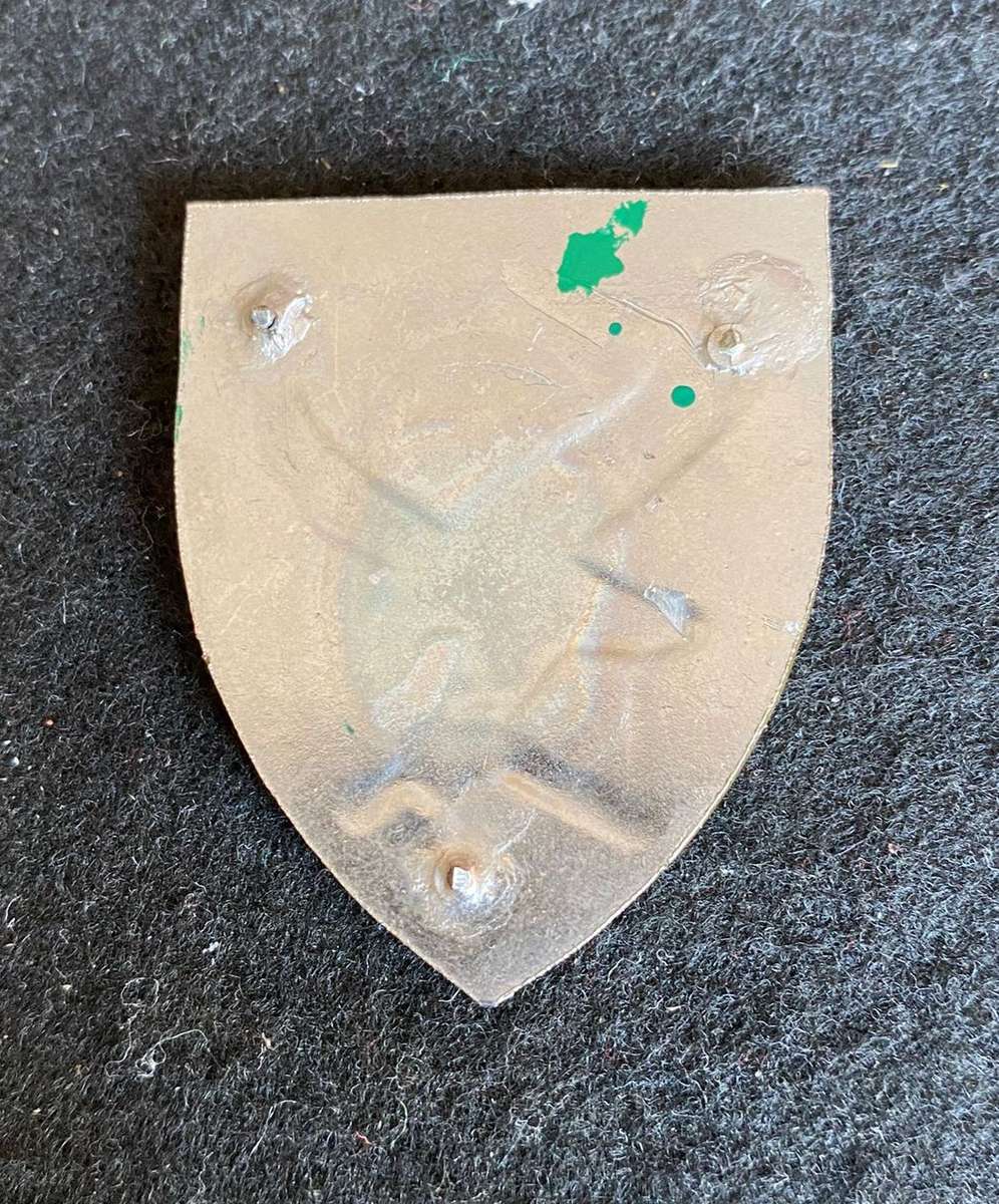 SWA 101 BATTALION RECCE COMP. POCKET FLASH- NO PINS