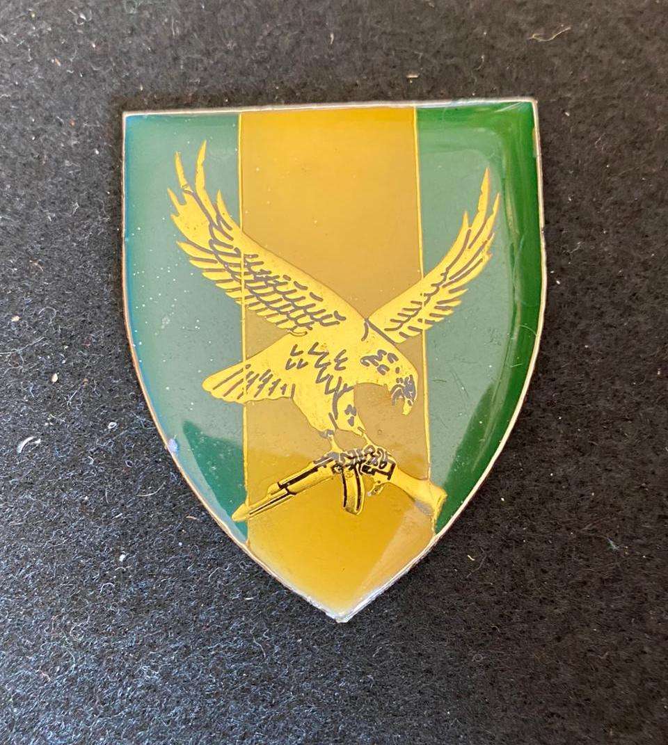 SWA 101 BATTALION RECCE COMP. POCKET FLASH- NO PINS