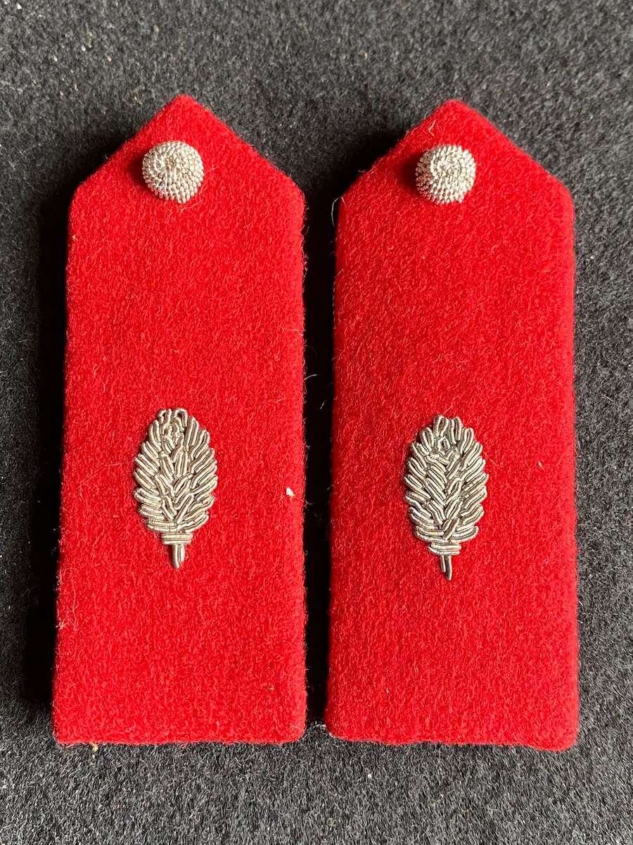 S.W.A.T.F. OFFICERS GORGET PATCH PAIR