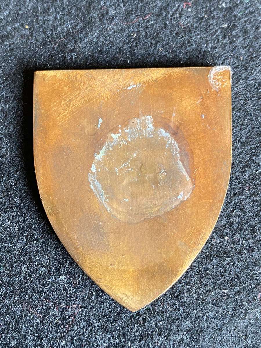 SWA KEETMANSHOOP COMMANDO LARGE GOLD CAT HEADS TYPE- NO PINS- POCKET FLASH