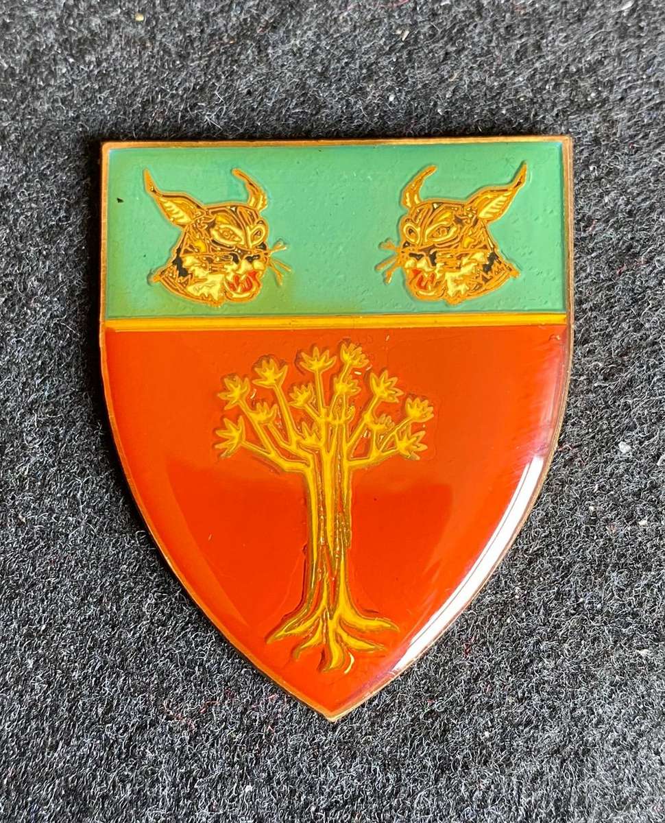 SWA KEETMANSHOOP COMMANDO LARGE GOLD CAT HEADS TYPE- NO PINS- POCKET FLASH