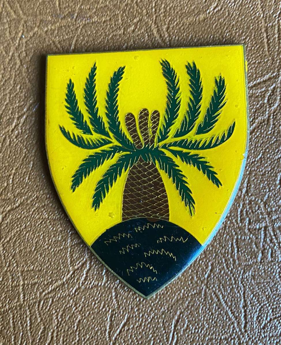 4 SA INF. BN. YELLOW TYPE FLASH- NO PINS