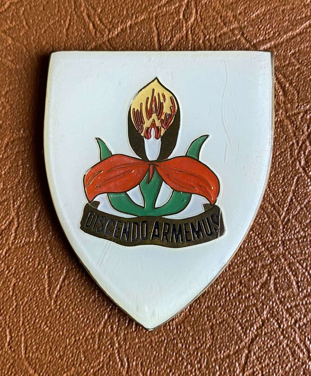 SA MILITARY ACADEMY 1 ST ISSUE FLASH- NO PINS