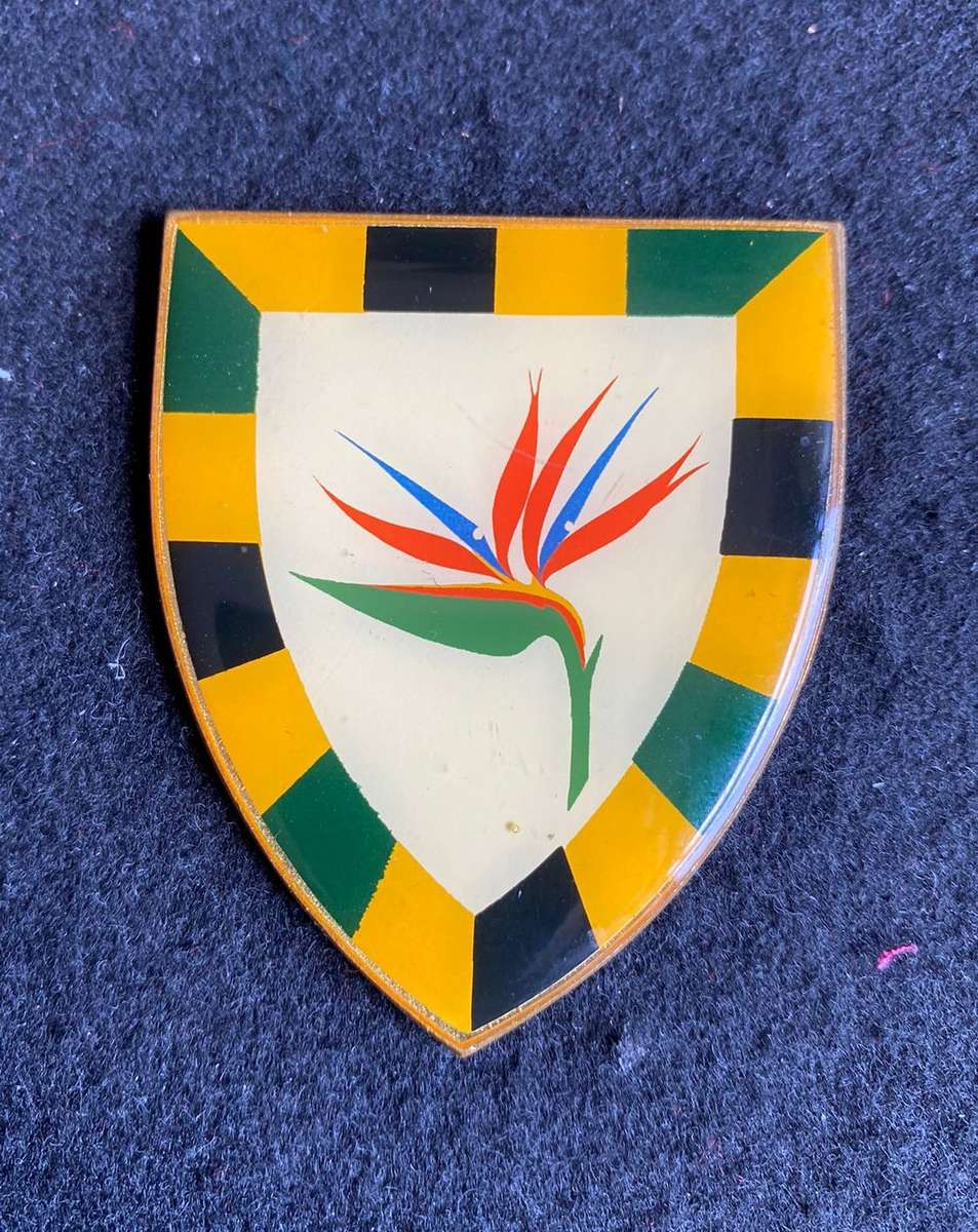 6 SA INF. BN. FLASH-YELLOW TYPE 1ST ISSUE- NO PINS