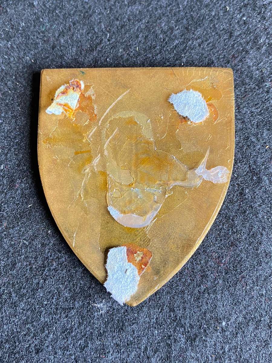 SA CATERING CORPS FLASH- NO PINS