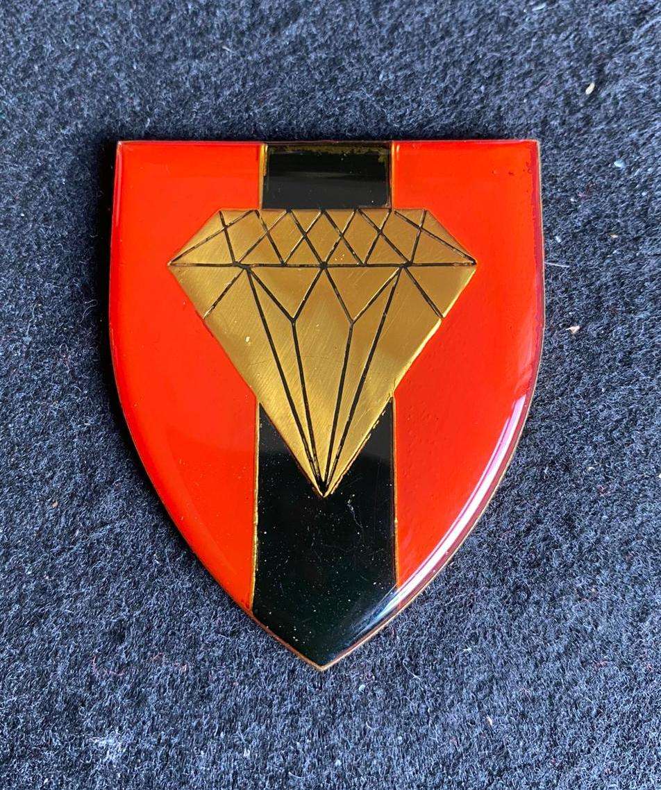 NORTHERN CAPE COMMAND PROVOST UNIT FLASH- NO PINS