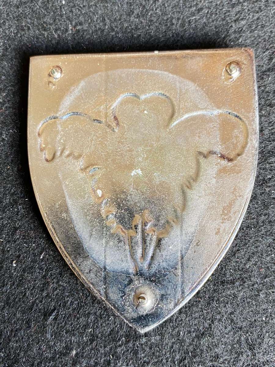 SOUTHERN CAPE PROVOST UNIT FLASH- NO PINS