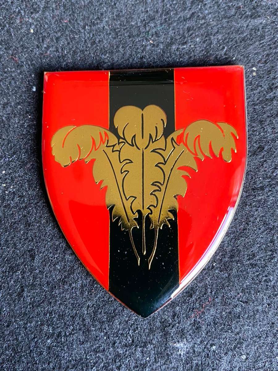 SOUTHERN CAPE PROVOST UNIT FLASH- NO PINS