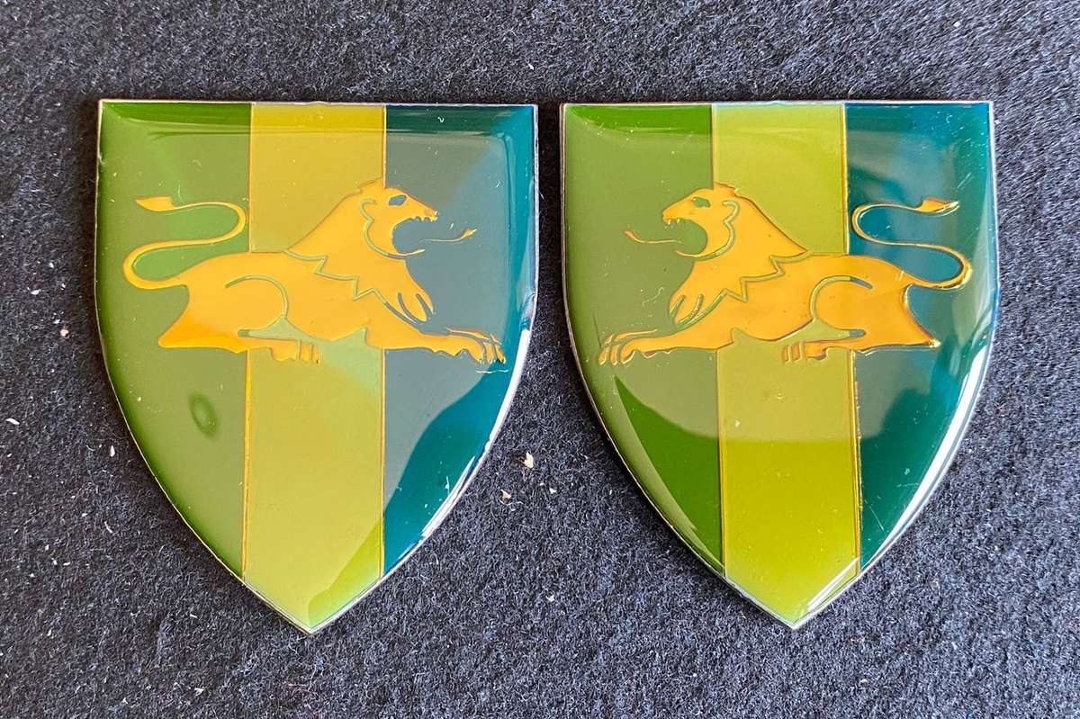 EASTERN TRANSVAAL SIGNAL UNIT FLASH PAIR- NO PINS