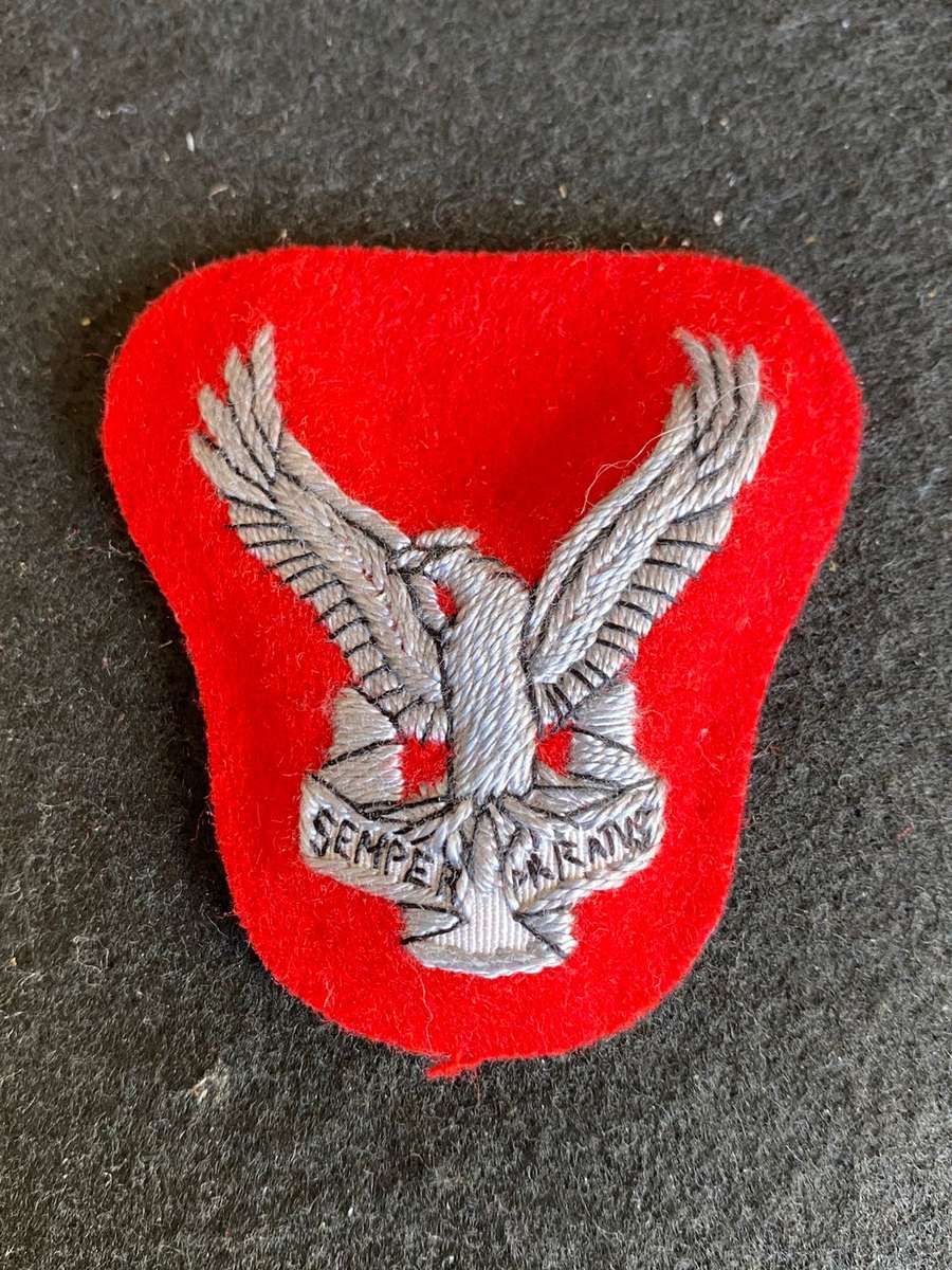 1 SWA SQUADRON (AIR FORCE) SENIOR OFFICERS CAP BADGE