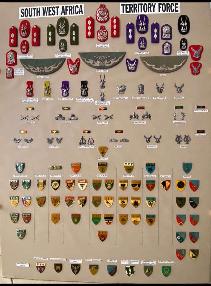 1 SWA SQUADRON (AIR FORCE) SENIOR OFFICERS CAP BADGE