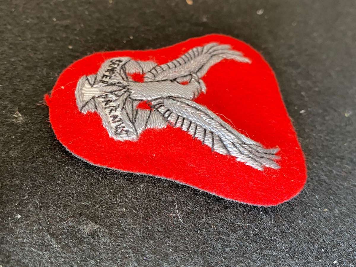 1 SWA SQUADRON (AIR FORCE) SENIOR OFFICERS CAP BADGE