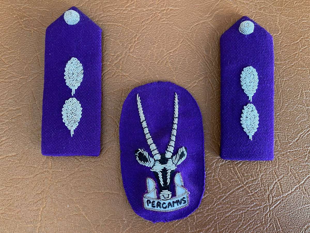 S.W.A.T.F MAUVE CHAPLAINS OFFICERS CAP BADGE WITH GORGET PATCH PAIR