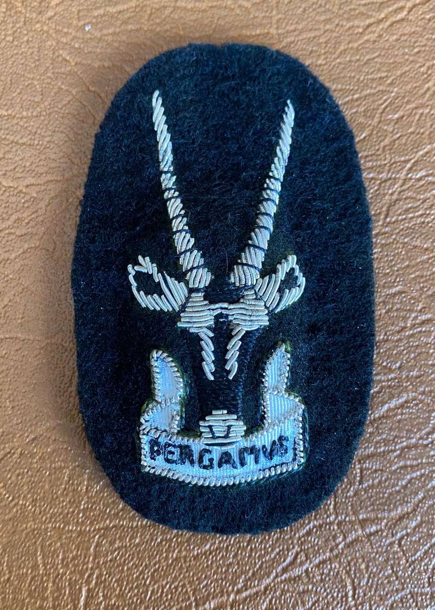 SERGEANT MAJOR OF THE S.W.A.T.F. CAP BADGE-BLACK BACKING