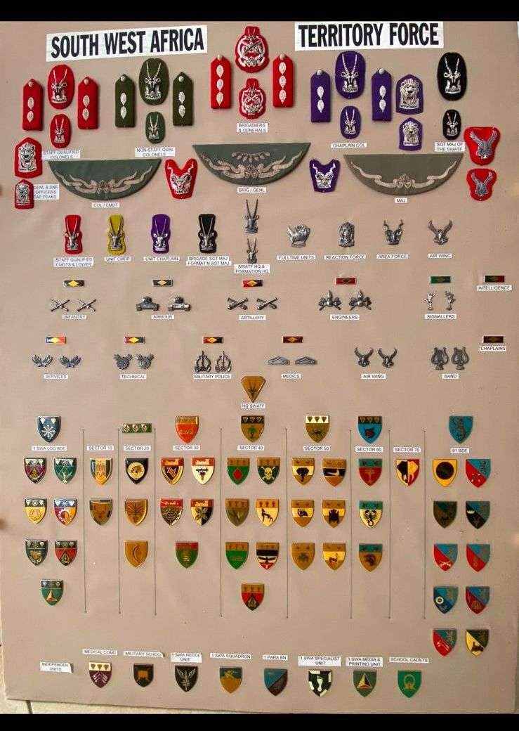 SERGEANT MAJOR OF THE S.W.A.T.F. CAP BADGE-BLACK BACKING