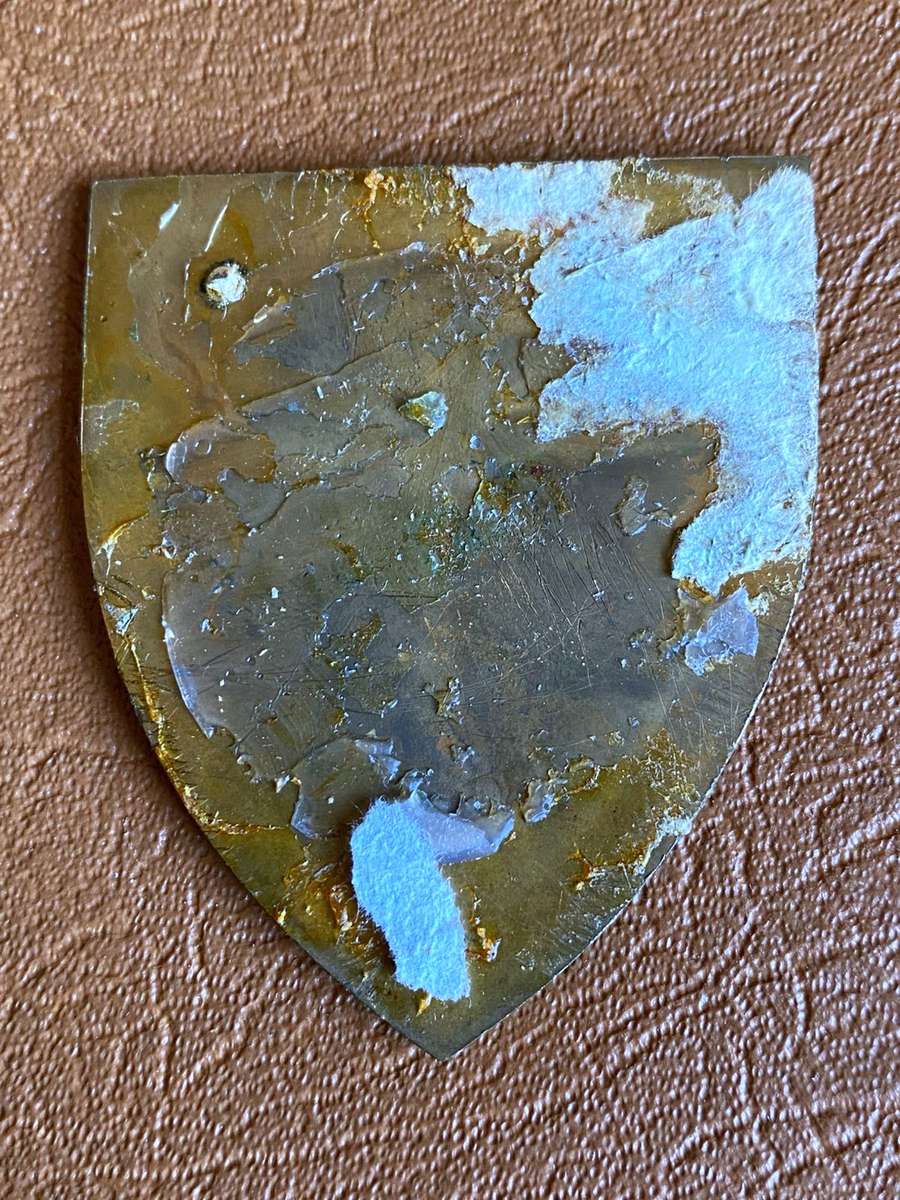 FULL SIZE (OWEN F512) SWA GENIE STEUNGROEP FLASH(GOLD TYPE ) NO PINS