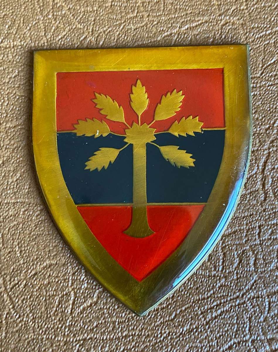 FULL SIZE (OWEN F512) SWA GENIE STEUNGROEP FLASH(GOLD TYPE ) NO PINS