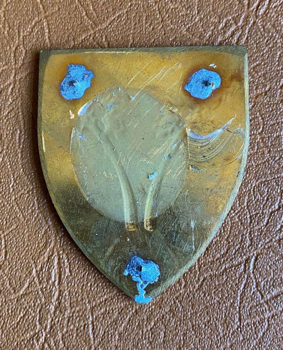 SWA N LOGISTICAL COMMAND PROVOST UNIT-FULL SIZE FLASH (OWEN F515) - NO PINS