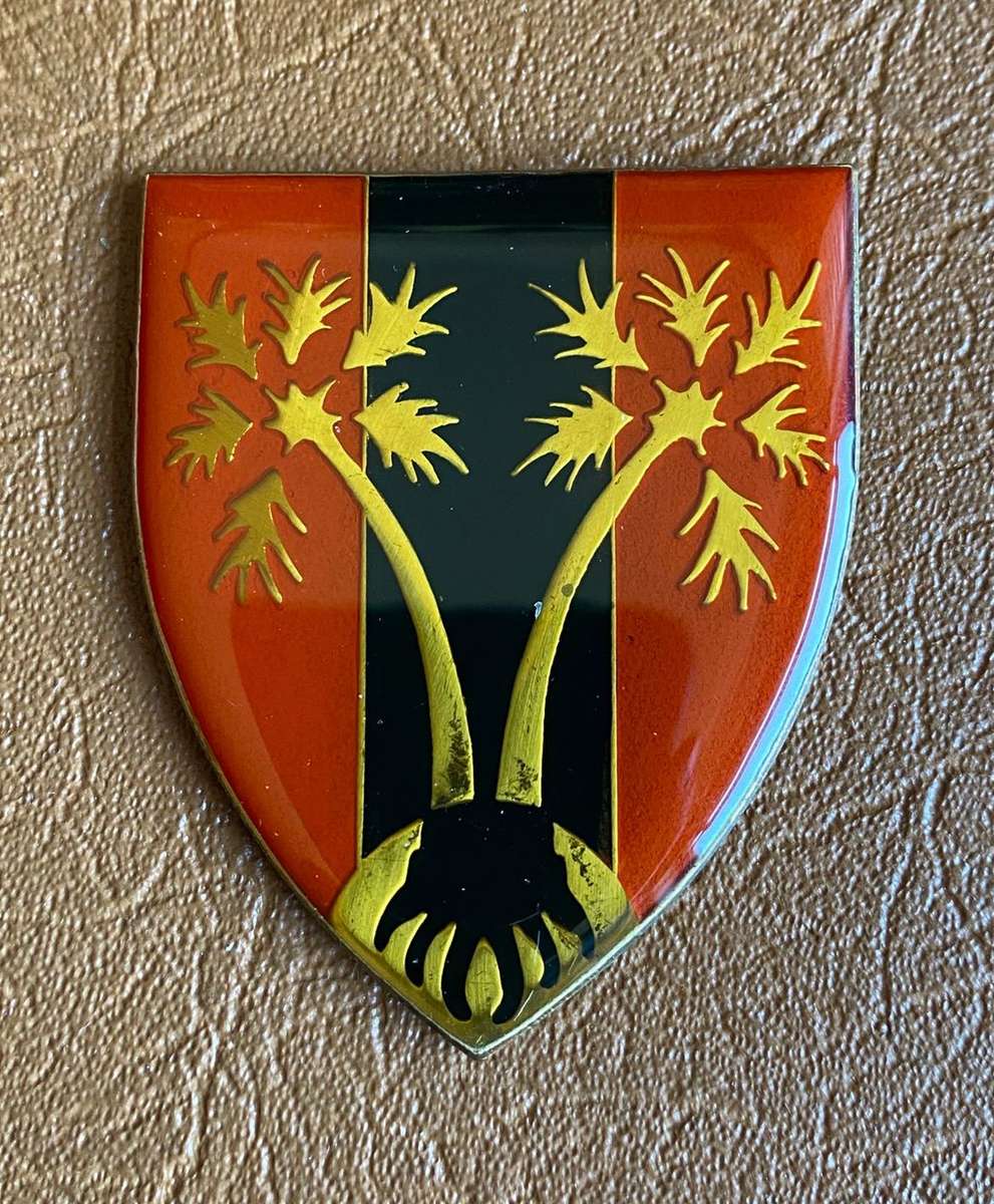 SWA N LOGISTICAL COMMAND PROVOST UNIT-FULL SIZE FLASH (OWEN F515) - NO PINS