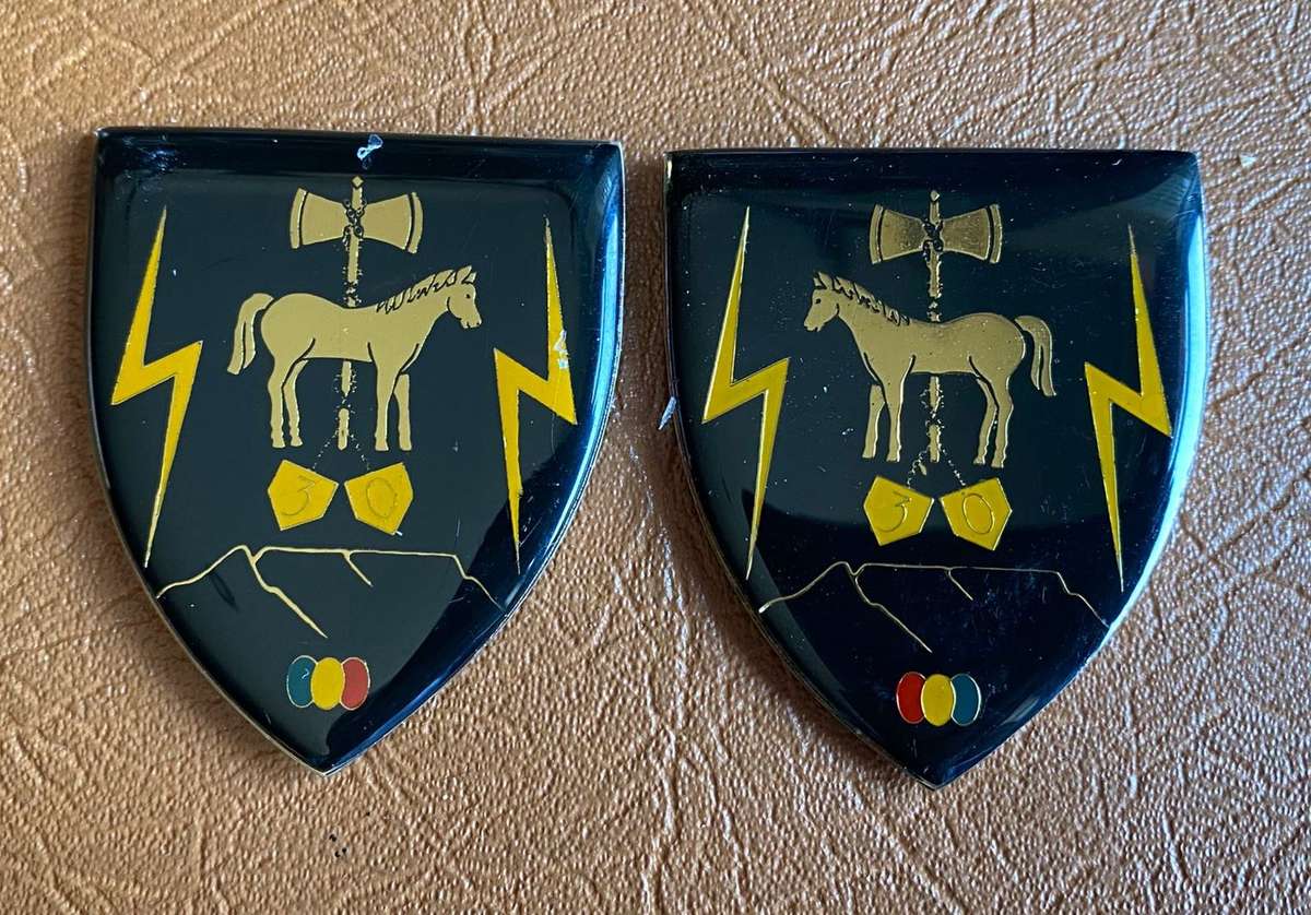 30 FIELD WORKSHOP FLASH PAIR- NO PINS