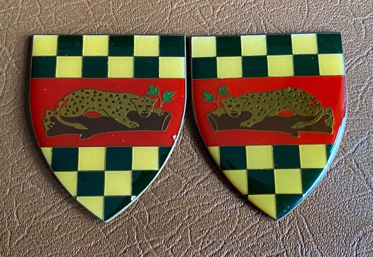 FIRST CITY REGT. FLASH PAIR- NO PINS