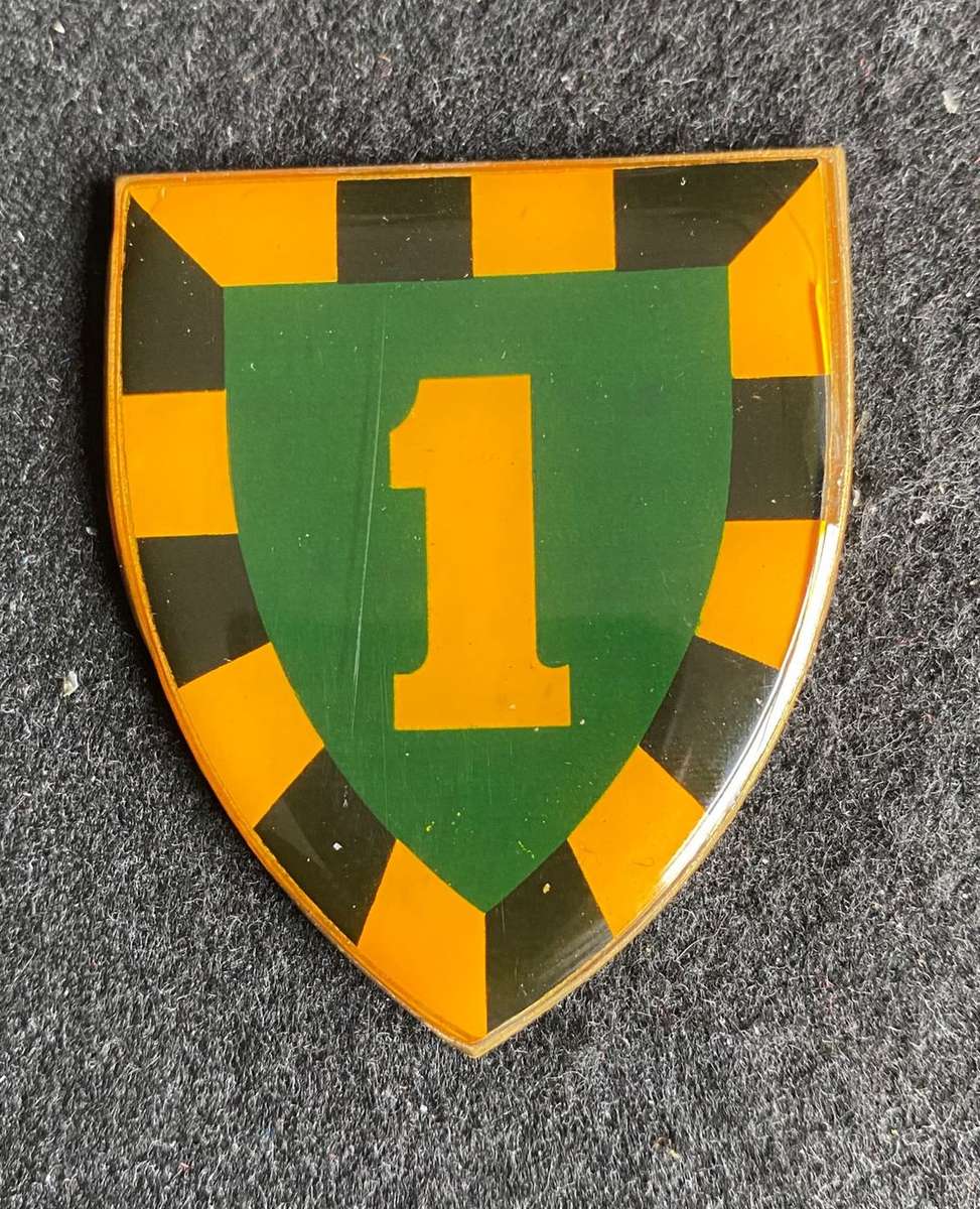 1ST SA INFANTRY BATTALION-YELLOW TYPE FLASH-1ST ISSUE-OWEN NO F 853- NO PINS