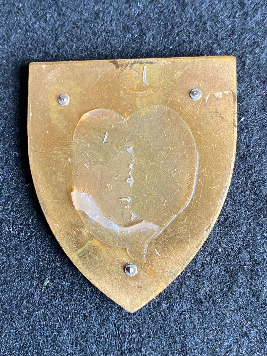 3 ELECTRONIC WORKSHOP-WHITE IN THE MIDDLE TYPE FLASH-OWEN NO F 843- NO PINS- SCARCE