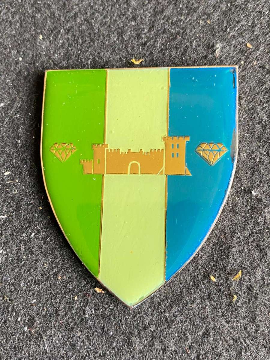 SWA SIGNAL UNIT FLASH- NO PINS