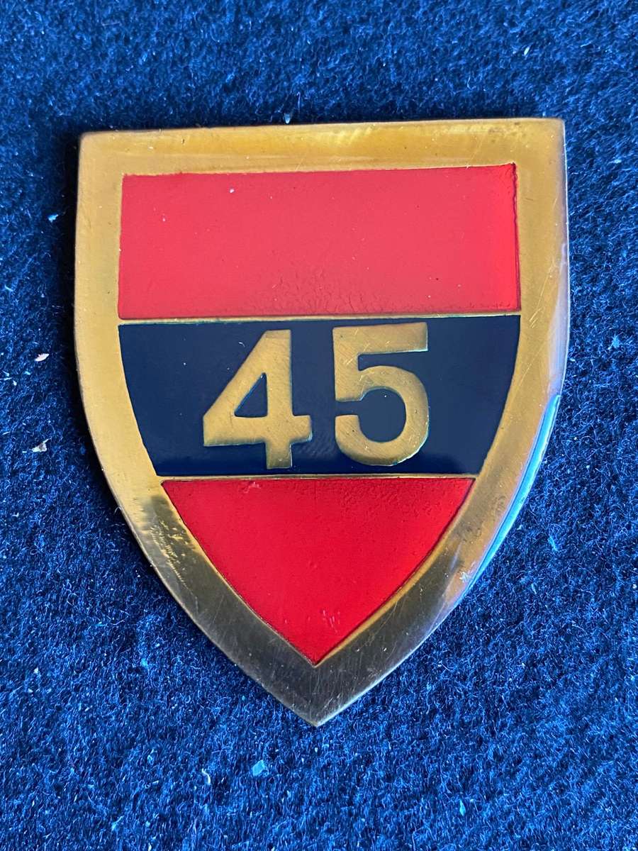 45 SURVEY SQUADRON FLASH- NO PINS