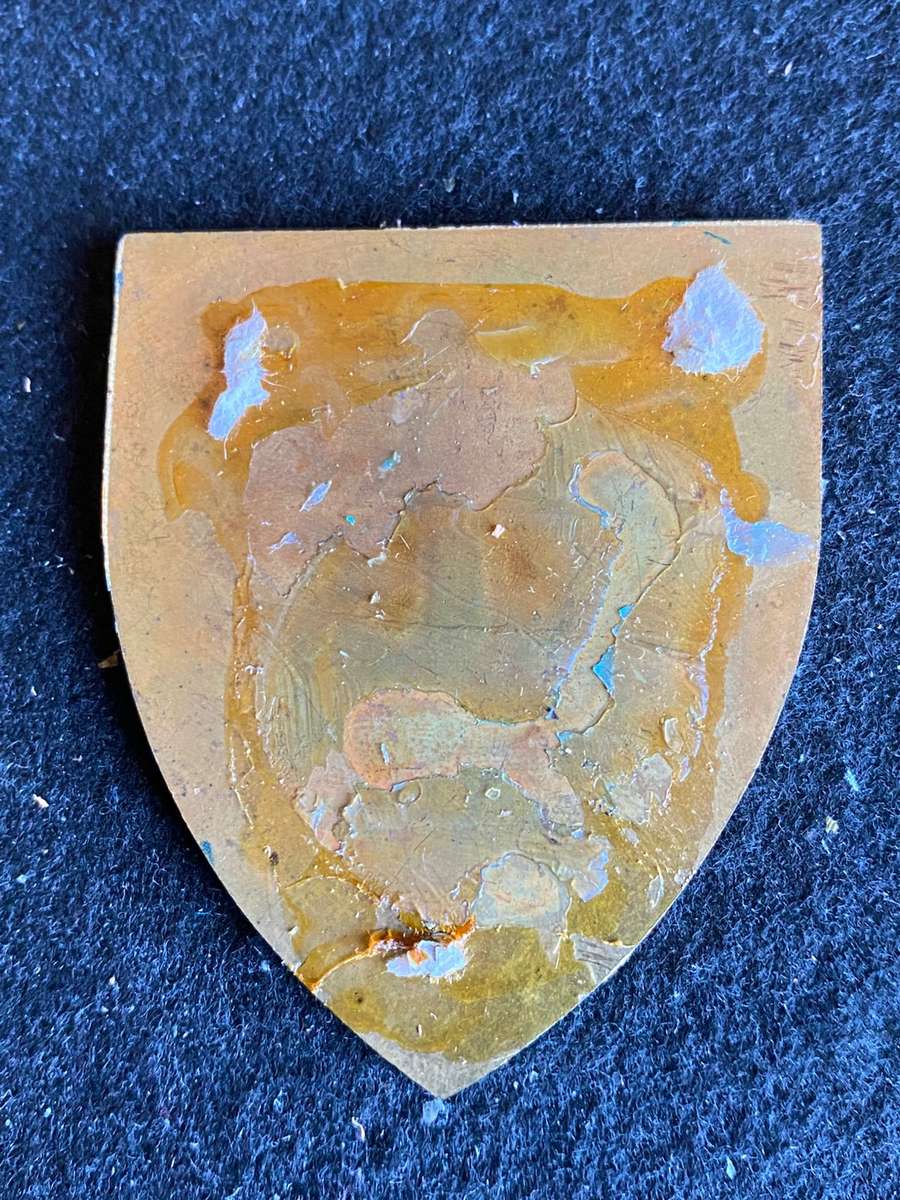 45 SURVEY SQUADRON FLASH- NO PINS