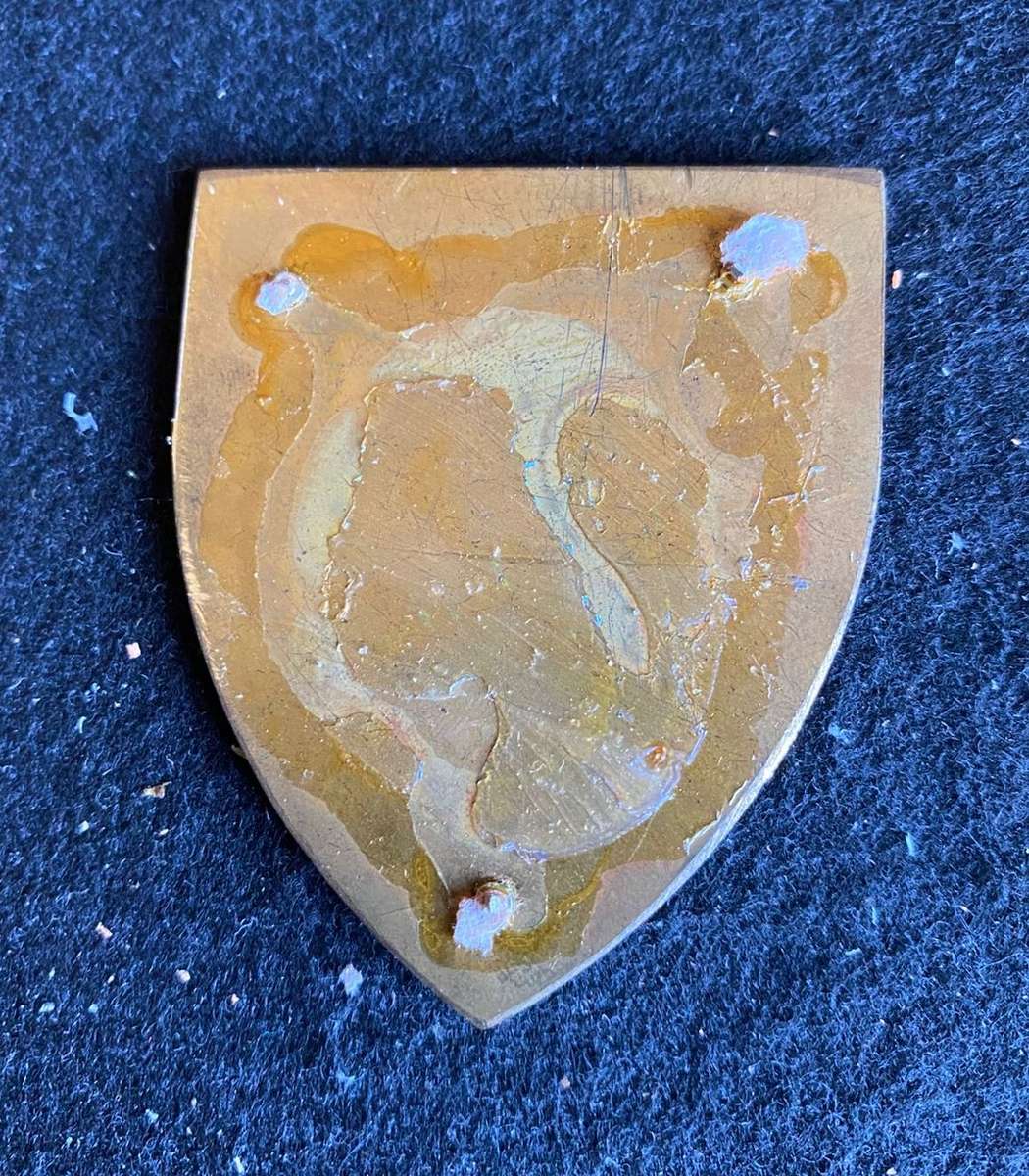 71 FIELD WORKSHOP FLASH- NO PINS