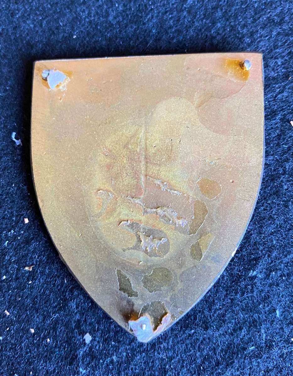 37 FIELD WORKSHOP FLASH- NO PINS