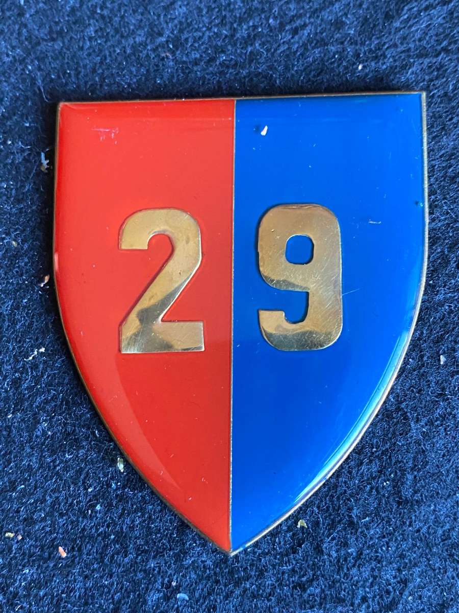 29 FIELD WORKSHOP FLASH- NO PINS