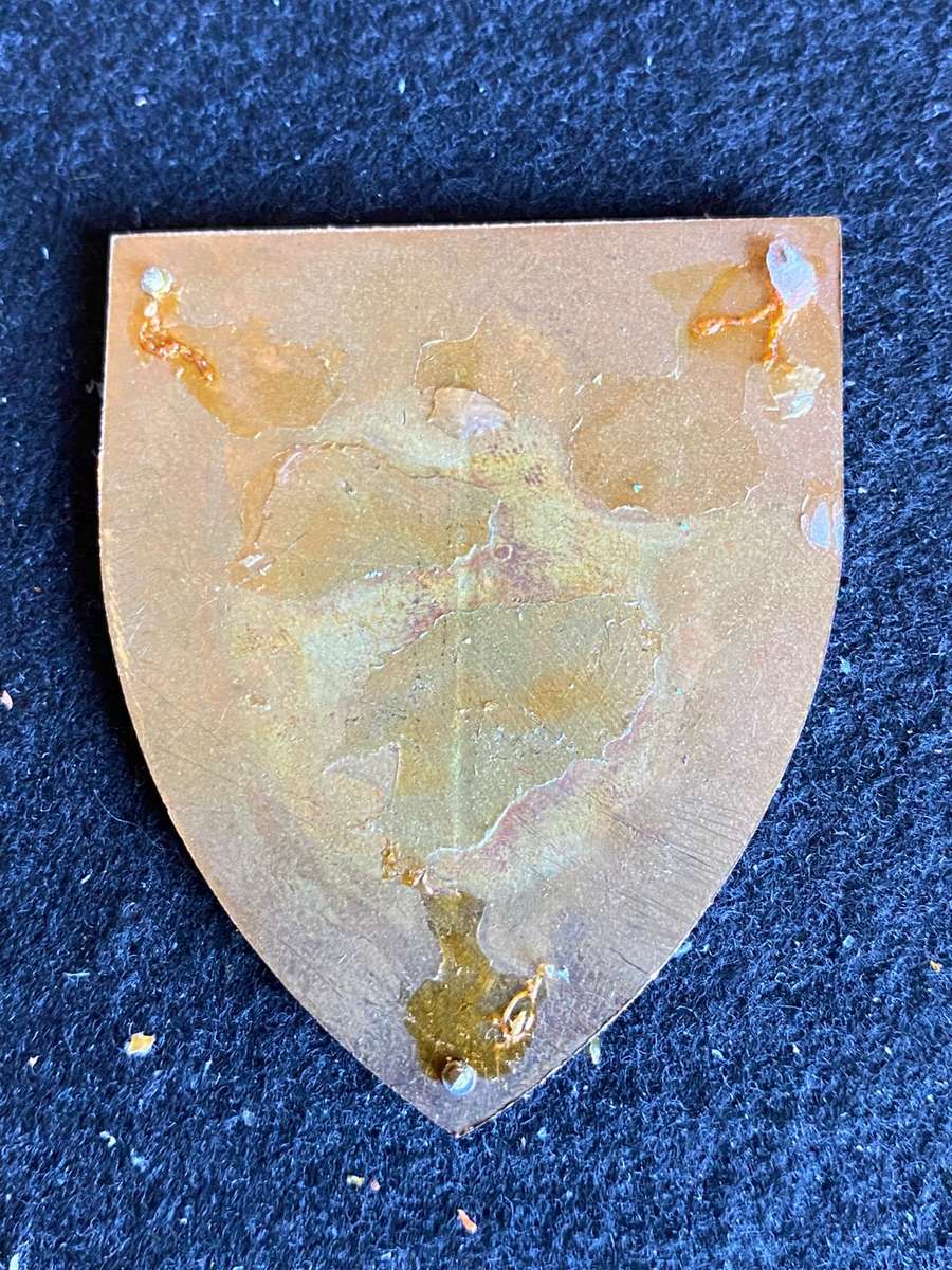 29 FIELD WORKSHOP FLASH- NO PINS