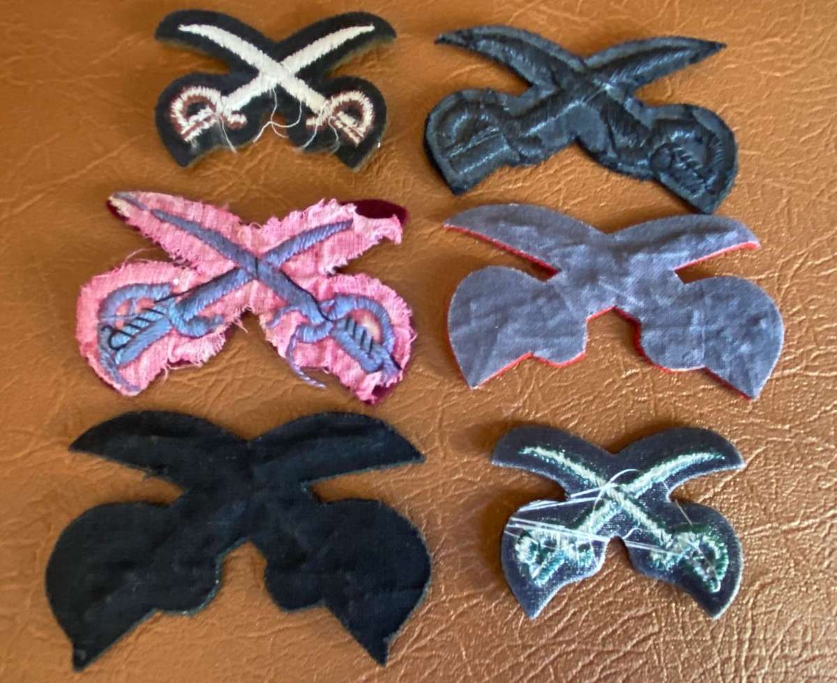 BRITISH GYMNASTICS INSTRUCTORS/LATER ASSISTANT PHYSICAL TRAINING INSTRUCTORS PROFICIENCY BADGES-6 SO