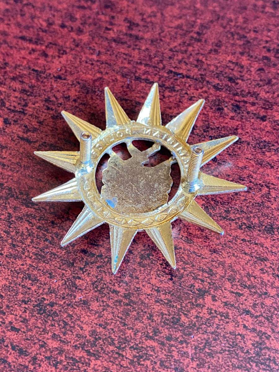 NAMIBIAN POLICE BADGE-WORN ON DRESS CAP OF PRESIDENTS MOTOR CYCLE OUTHRIDERS- 2 LUGS