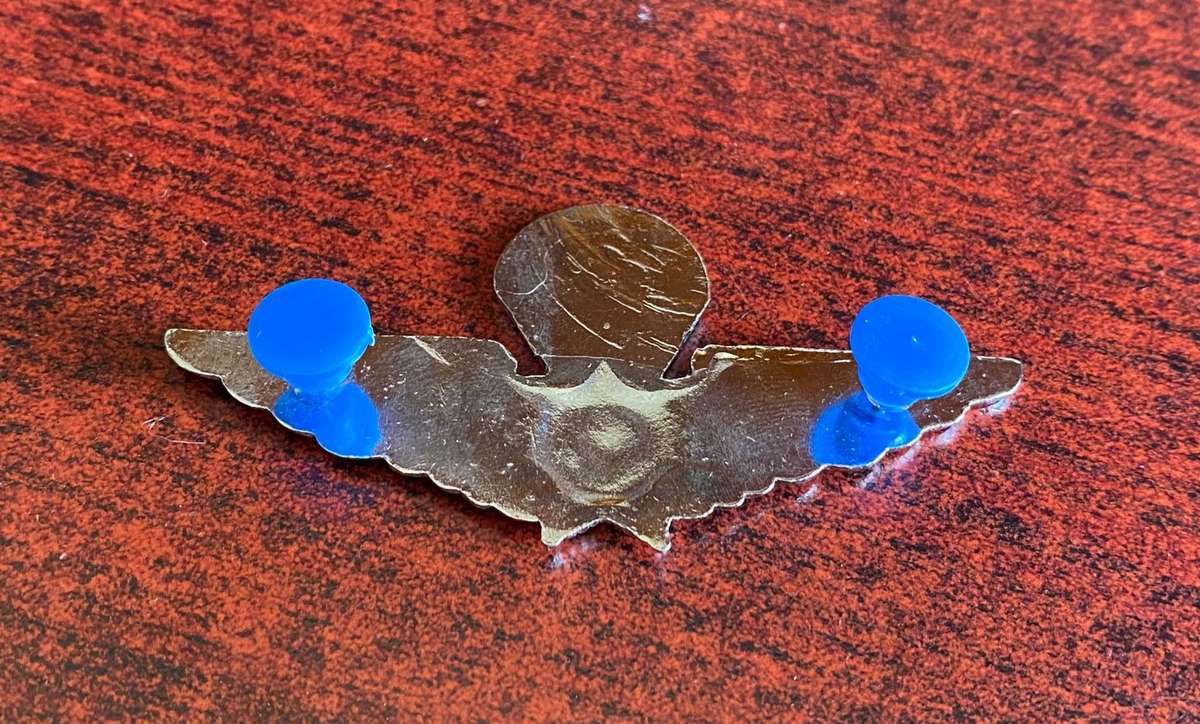 CISKEI POLICE PARACHUTE WING- 2 PINS