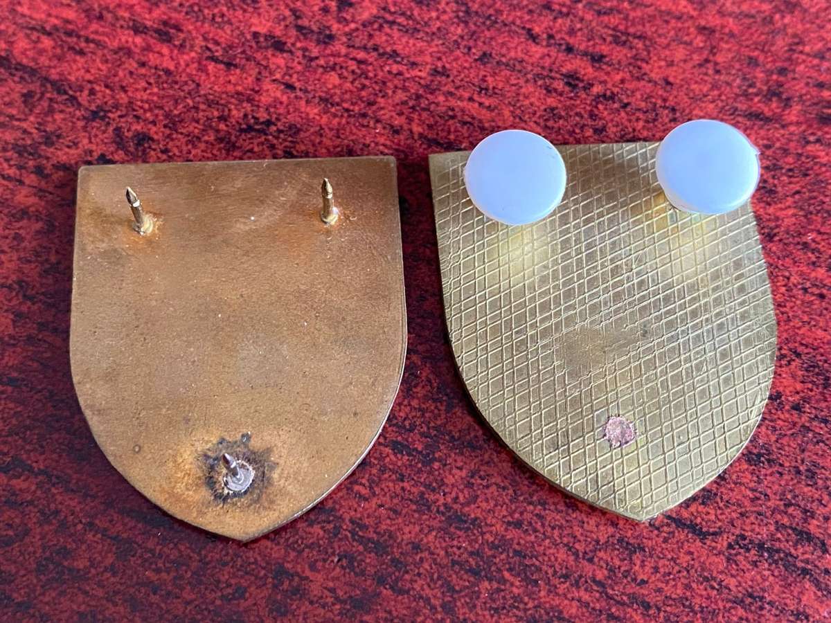 SWA MILITARY SCHOOL POCKET FLASH- 2 VARIATIONS- ONE PIN MISSING