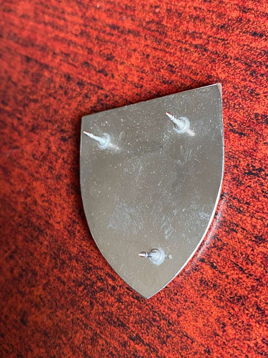 SWA 101 BATTALION POCKET FLASH- 3 PINS