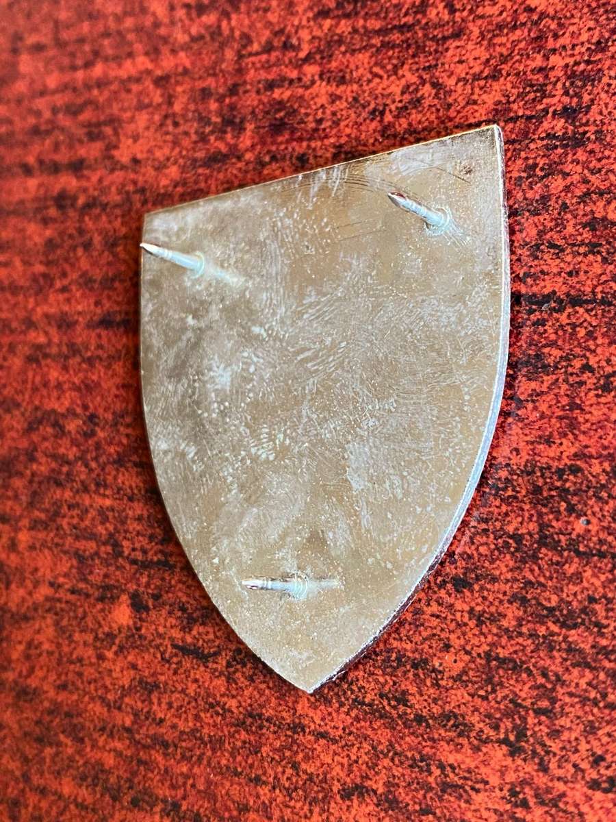 SWA 1 RECCE REGT. POCKET FLASH- 3 PINS