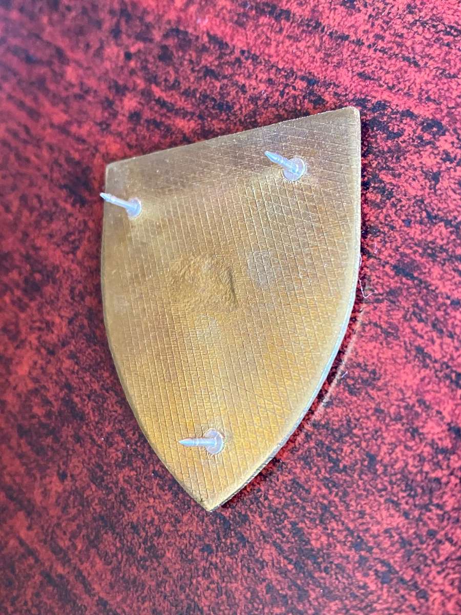 SWA 201 BATTALION POCKET FLASH- 3 PINS