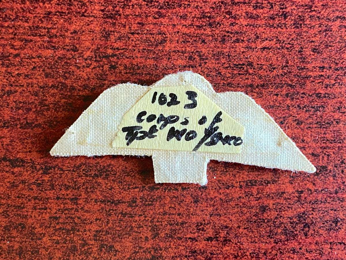 ROYAL CORPS OF TRANSPORT PARACHUTE WING ,MESS DRESS- (WO/SNCO)