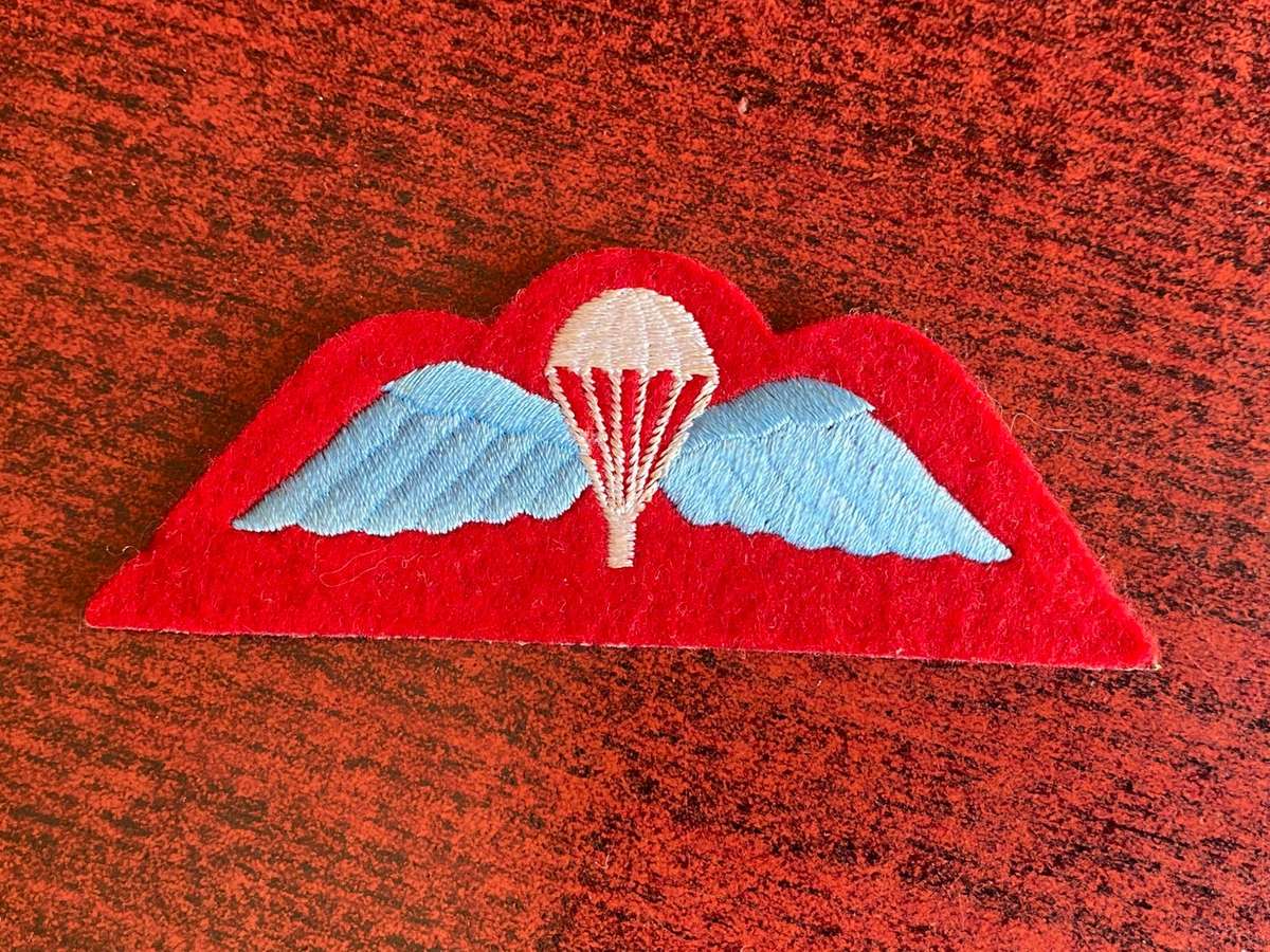 BRITISH JUNIOR PARA COY WINGS