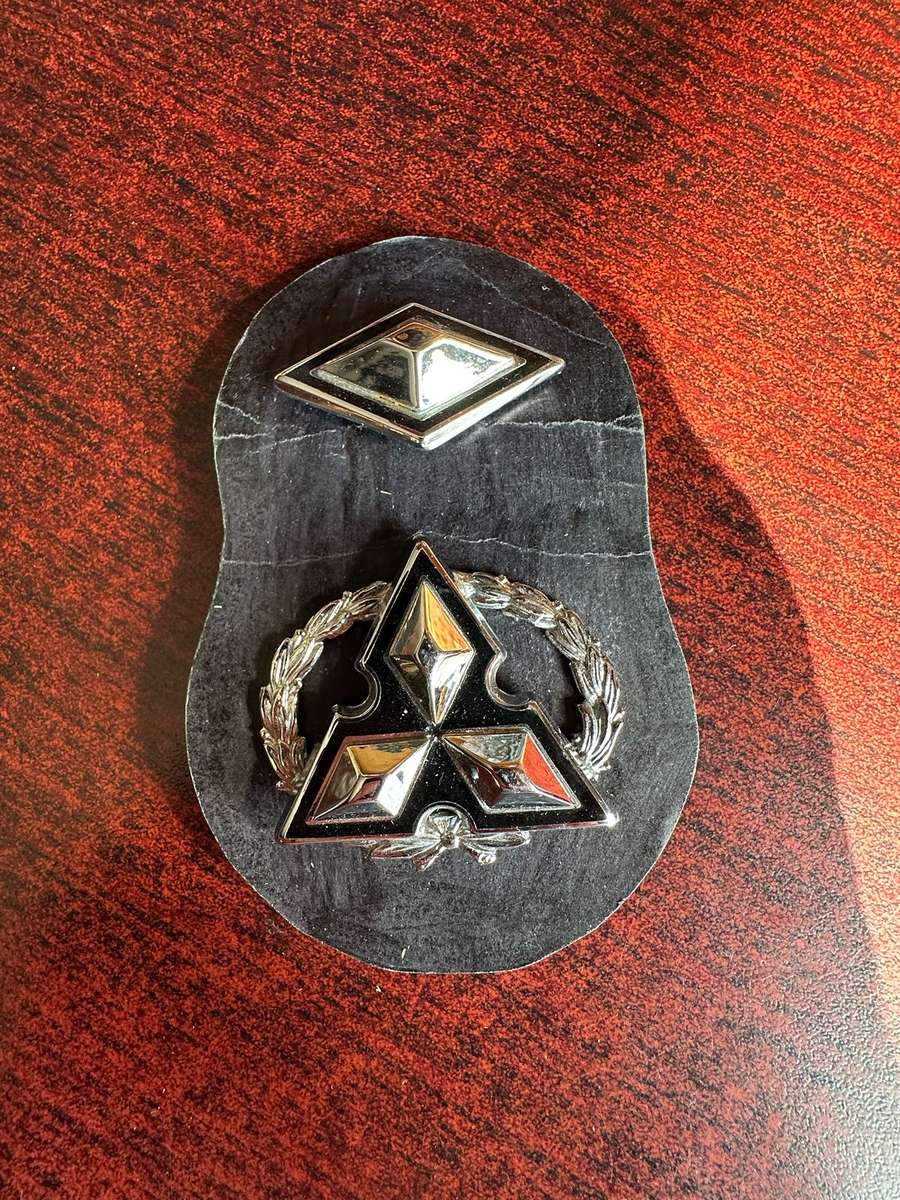 S.W.A.T.F. CHROME AND ENAMEL RANK FOR SERGEANT MAJOR