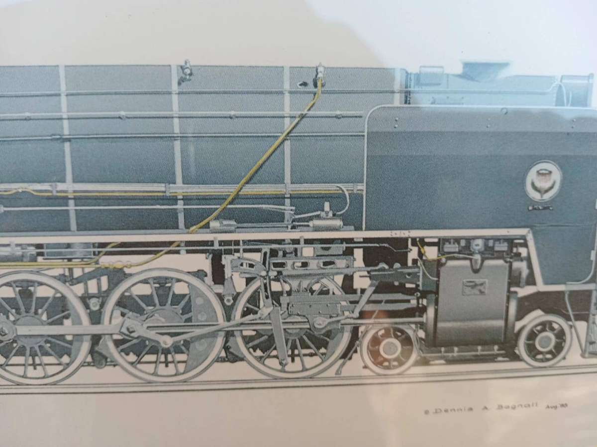 SAR TRAIN PICTURE LOCOMOTIVE ENGINE NO2959